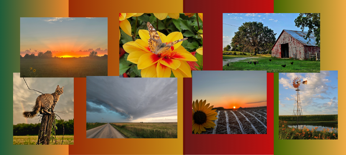 Seven rural scenery photographs